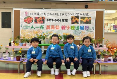 imgi_16_IMG_0179-scaled