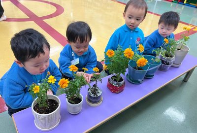 imgi_18_IMG_6733-scaled