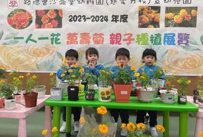 imgi_5_IMG_8071-scaled