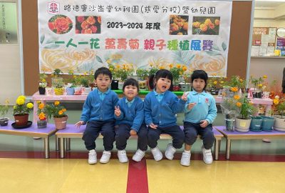 imgi_6_IMG_8084-scaled