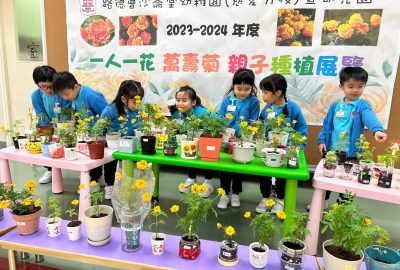 imgi_13_IMG_4669-scaled