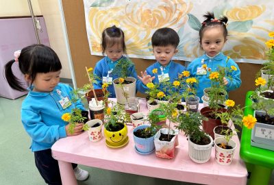 imgi_17_IMG_0238-scaled