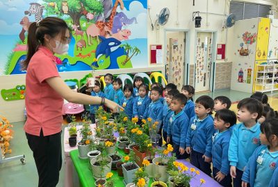 imgi_4_IMG_2114-scaled