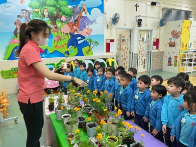 2023-2024 一人一花 -萬壽菊 親子種植展覽