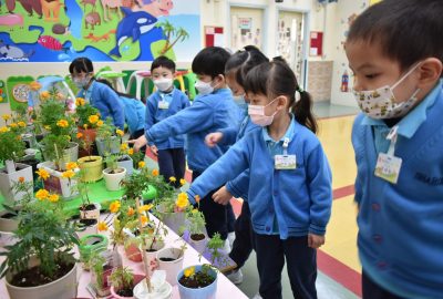 imgi_7_DSC_0305-scaled