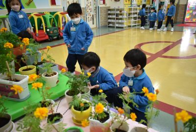 imgi_8_DSC_0317-scaled