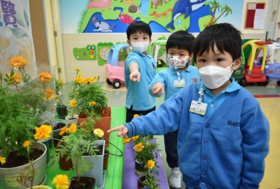 imgi_9_DSC_0320-scaled