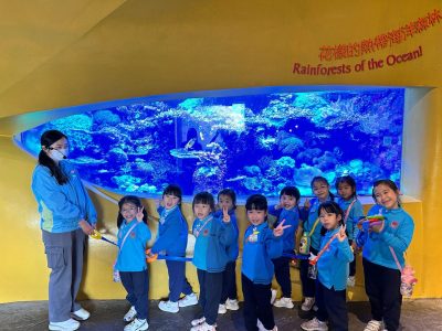 22-11-2023- K3 參觀「海洋公園學院」