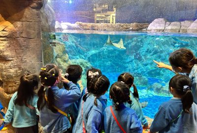 imgi_7_IMG_1130-scaled