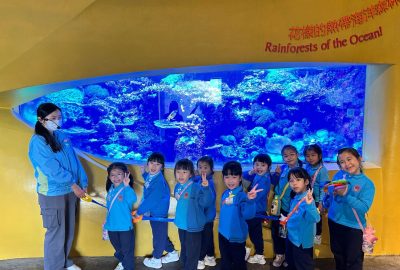 imgi_4_IMG_1126-scaled