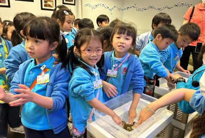 imgi_8_IMG_1143-scaled