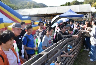 imgi_8_DSC_0517-scaled