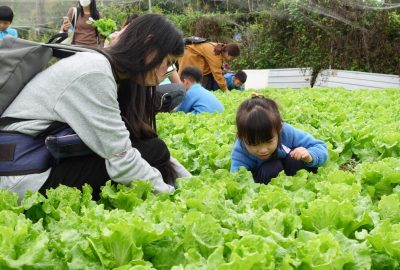 imgi_5_DSC08182-scaled