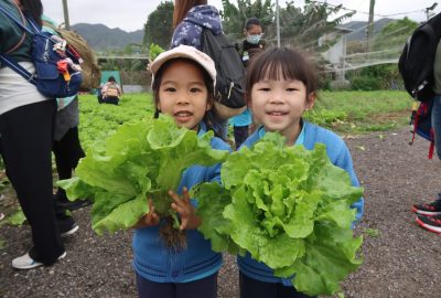 imgi_9_IMG_4946-scaled