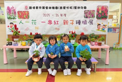 imgi_5_IMG_3513-scaled