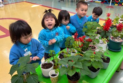 imgi_8_IMG_6873-scaled