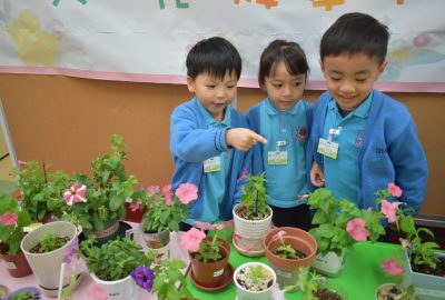 imgi_4_DSC_0216-scaled