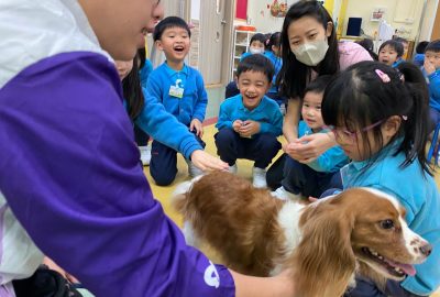 imgi_12_IMG_0028-scaled