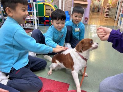 動物守護·社區大使 講座