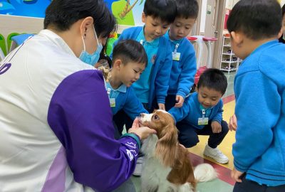 imgi_6_IMG_9993-scaled