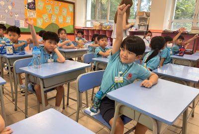 imgi_19_IMG_9087-scaled