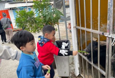 imgi_22_IMG_6826-scaled