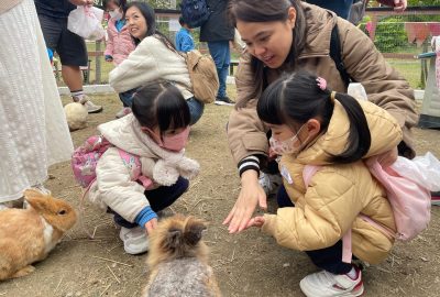 imgi_23_IMG_6815-scaled