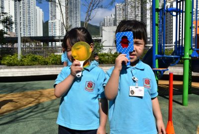 imgi_7_DSC_0981-scaled