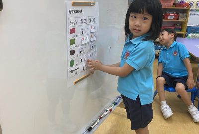 imgi_11_IMG_2228-scaled