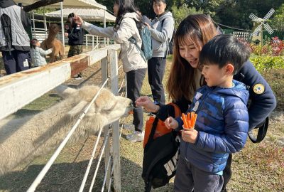 imgi_15_好開心有得餵羊駝食紅蘿蔔呀1-scaled