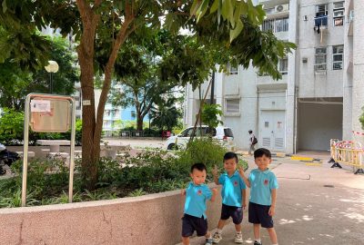 imgi_13_IMG_8955-scaled