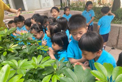 imgi_7_IMG_3897-scaled