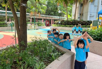 imgi_9_IMG_8906-scaled