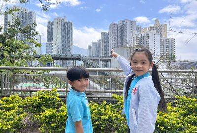 imgi_4_IMG_7061-scaled