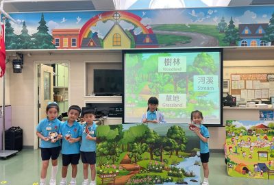 imgi_17_IMG_5257-scaled