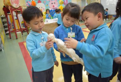 imgi_12_DSC_0246-scaled