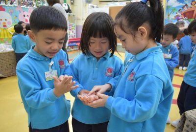 imgi_13_DSC_0154-scaled