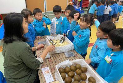 imgi_8_IMG_1048-scaled