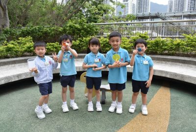 imgi_13_DSC_0945-scaled