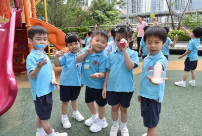 imgi_9_DSC_0937-scaled