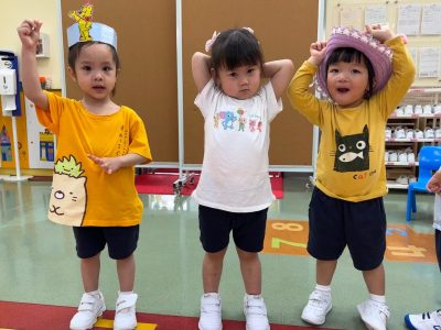 N1 Animals Party Activity