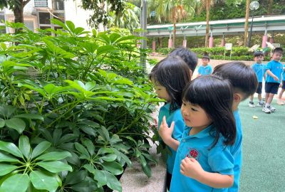 imgi_10_IMG_8949-scaled