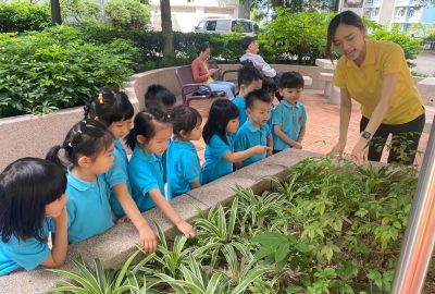 imgi_6_IMG_3890-scaled