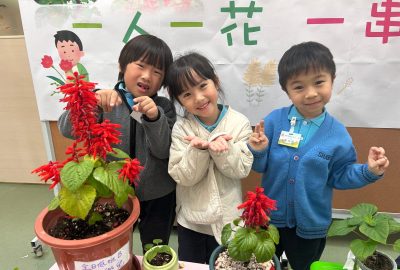 imgi_4_IMG_7986-scaled