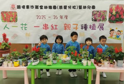 imgi_6_IMG_15-scaled