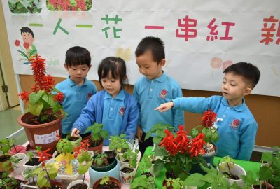 imgi_7_DSC_0980-scaled