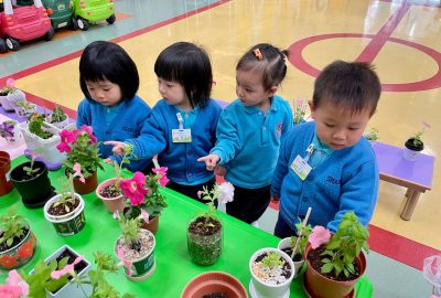 imgi_6_IMG_9177-scaled