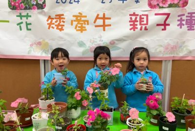 imgi_7_IMG_8420-scaled