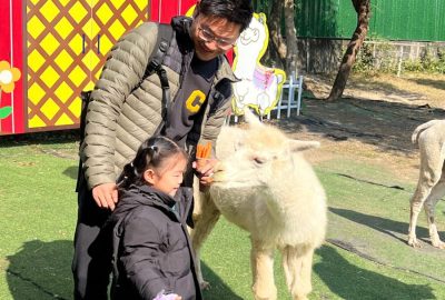 imgi_33_IMG_7799-scaled