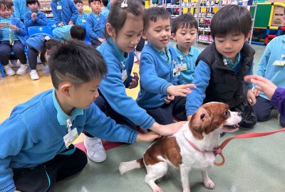 imgi_10_IMG_1717-scaled